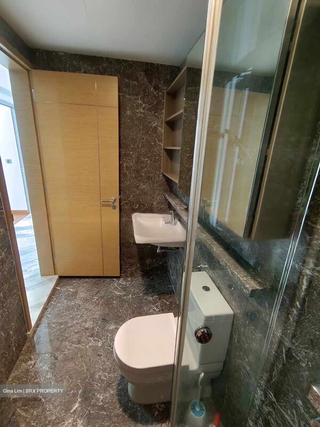 Suites @ Cairnhill (D9), Apartment #466919831